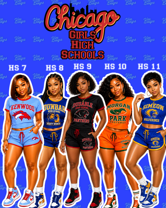 Chicago Girls High Schools Vinyl Die Cut Stickers