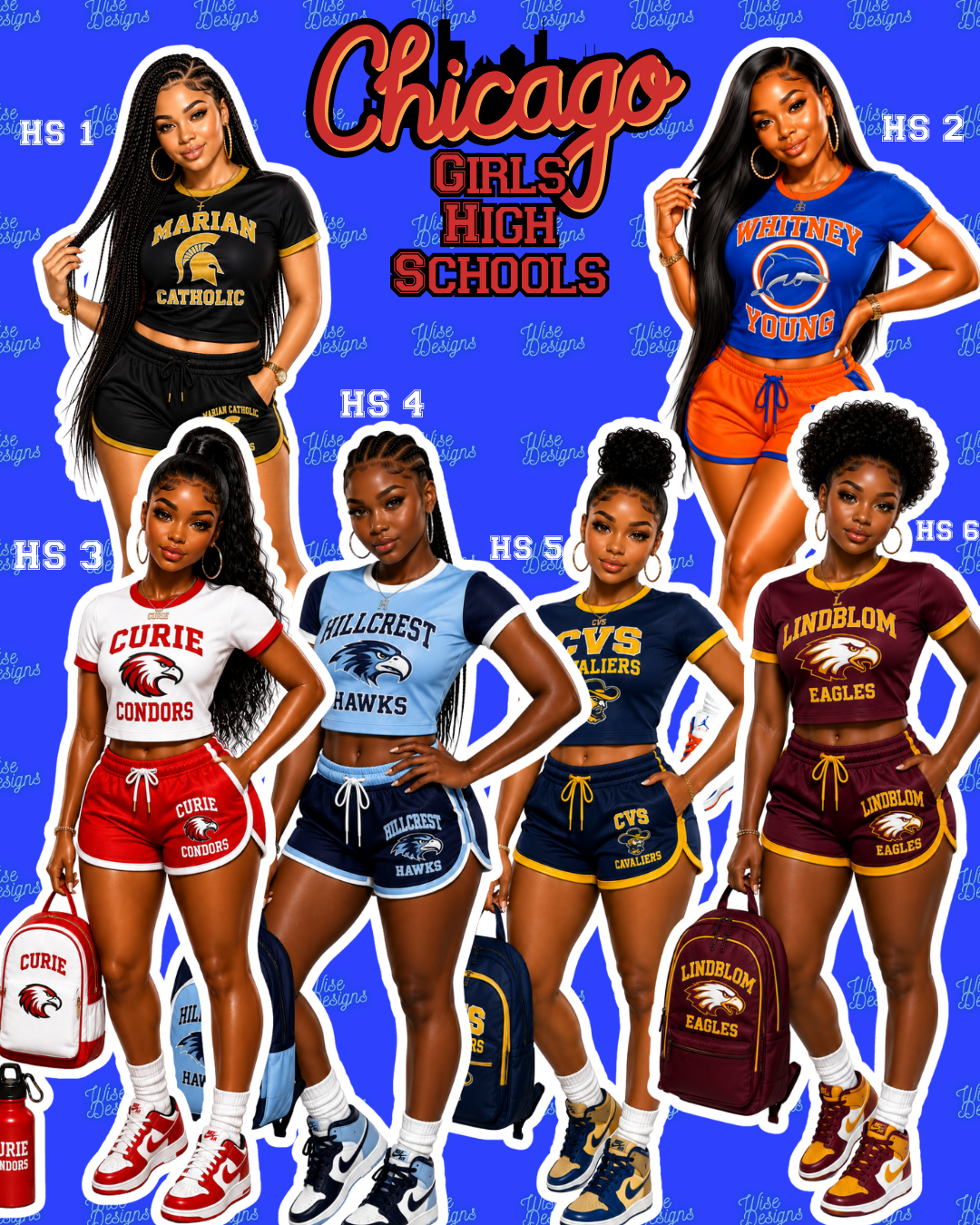 Chicago Girls High Schools Vinyl Die Cut Stickers